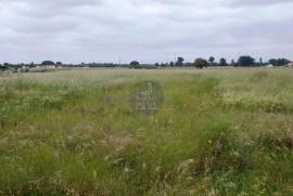 Land of 4,000 m2 for the construction of a single family home