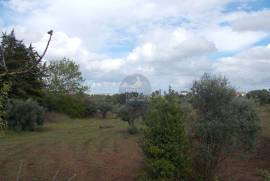 Agricultural land of 21,560 m2