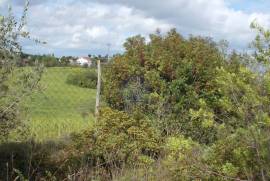 Agricultural land of 21,560 m2