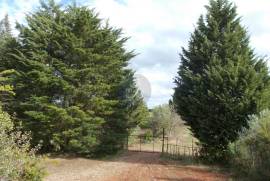 Agricultural land of 21,560 m2