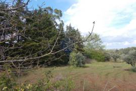 Agricultural land of 21,560 m2