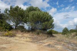 Agricultural land of 21,560 m2