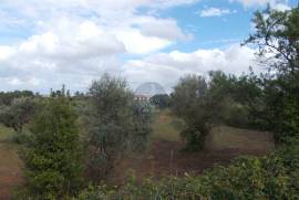 Agricultural land of 21,560 m2