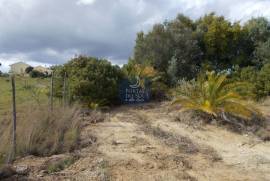 Agricultural land of 21,560 m2