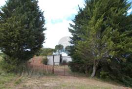 Agricultural land of 21,560 m2