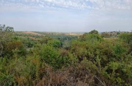Mill Santarém Achete Mill Santarém Achete