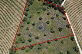 Rural land Santarém