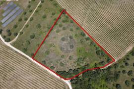 Rural land Santarém