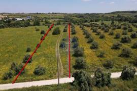 Rural land Santarém Vale de Figueira