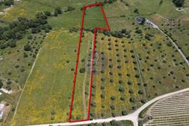 Rural land Santarém Vale de Figueira