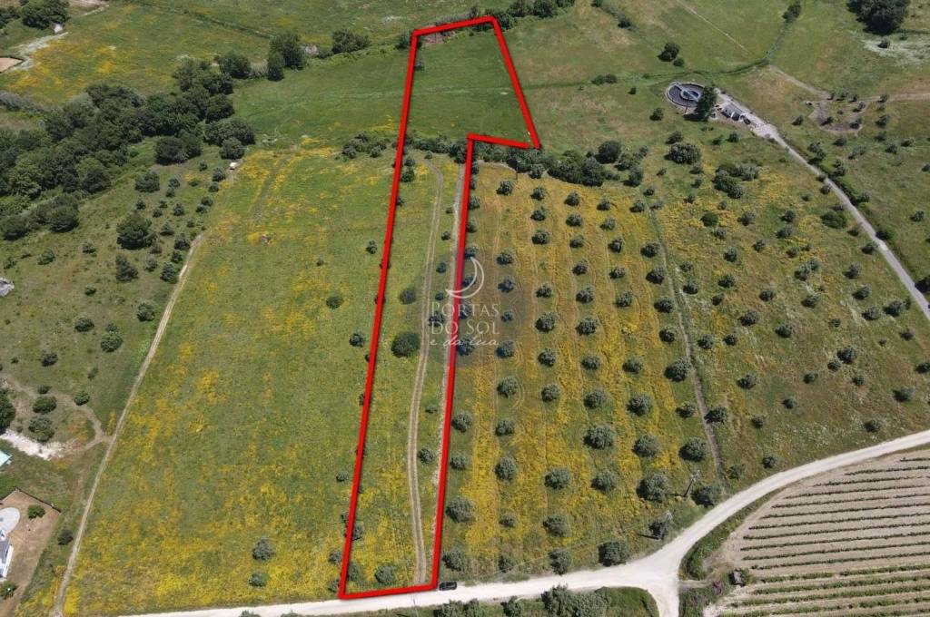 Rural land Santarém Vale de Figueira