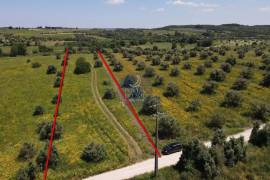 Rural land Santarém Vale de Figueira