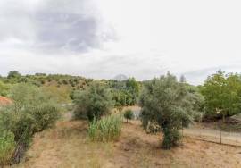 Villa Rio Maior Azambujeira