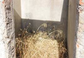 Villa Santarém Almoster