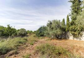 Villa Santarém Almoster