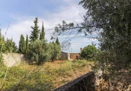 Villa Santarém Almoster