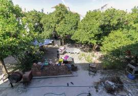 Building Santarém Centro Histórico