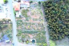 3 bedroom villa, with commercial space 3 bedroom villa, with commercial space