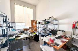 Comercial_Centro City Store Comercial_Centro City Store