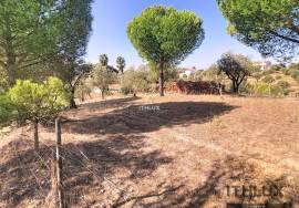 Rustic Land with storage room - Ciborro