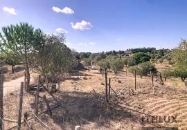 Rustic Land with storage room - Ciborro