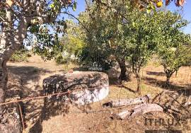 Rustic Land with storage room - Ciborro
