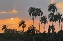 Luxury Ocean View Estate In Jamao Al Norte