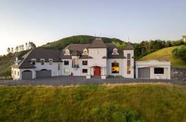 Luxury Château Te Kamo For Sale in Ngararatunua New