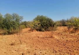 Land with Ruin to Renovate at Height between Querença and Loulé.
