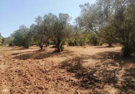 Land with Ruin to Renovate at Height between Querença and Loulé.