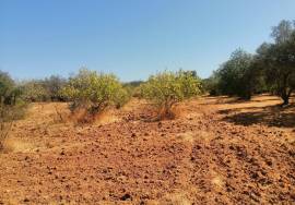 Land with Ruin to Renovate at Height between Querença and Loulé.