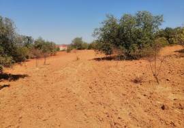 Land with Ruin to Renovate at Height between Querença and Loulé.