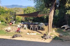 Beautiful Character Property With Tower, Former 13th Century Sheepfold Converted Into A Wine Estate With Two Dwellings And A Working Cellar. Beautiful Character Property With Tower, Former 13th Century Sheepfold Converted Into A Wine Estate With Two Dwellings And A Working Cellar.
