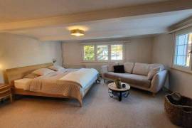 Toggenburg 7-room house for sale