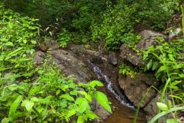 Finca Vista Real: Prime Ocean View Development Opportunity in Playas del Coco! Seller Financing Available!