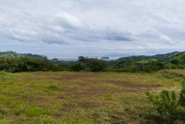 Finca Vista Real: Prime Ocean View Development Opportunity in Playas del Coco! Seller Financing Available!