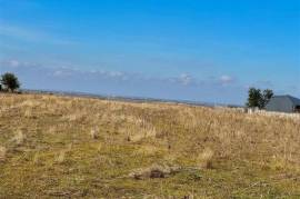 Industrial Land for Sale - 10,000 sqm - Brailei Terrace