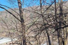 Land for sale 2326 sqm in Tarcau