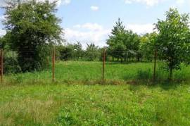 House for sale near Dorohoi (Pascari), Botosani