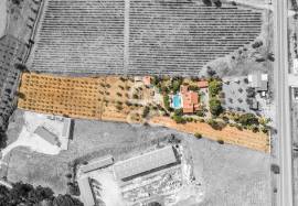 Farmhouse Borba Farmhouse Borba
