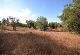 Plot with Ruin and Approved Project for a Countryside Villa Plot with Ruin and Approved Project for a Countryside Villa