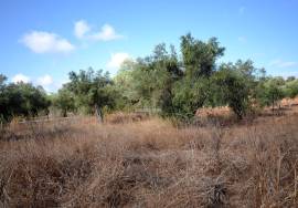 Plot with Ruin and Approved Project for a Countryside Villa Plot with Ruin and Approved Project for a Countryside Villa