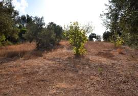 Plot with Ruin and Approved Project for a Countryside Villa Plot with Ruin and Approved Project for a Countryside Villa