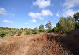 Plot with Ruin and Approved Project for a Countryside Villa Plot with Ruin and Approved Project for a Countryside Villa