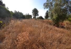 Plot with Ruin and Approved Project for a Countryside Villa Plot with Ruin and Approved Project for a Countryside Villa