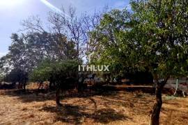 Farm with 32,500 m2 in Elvas-Alentejo- Portugal Farm with 32,500 m2 in Elvas-Alentejo- Portugal