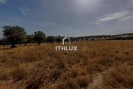 Farm with 32,500 m2 in Elvas-Alentejo- Portugal Farm with 32,500 m2 in Elvas-Alentejo- Portugal
