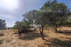 Farm with 32,500 m2 in Elvas-Alentejo- Portugal Farm with 32,500 m2 in Elvas-Alentejo- Portugal