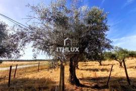 Farm with 32,500 m2 in Elvas-Alentejo- Portugal Farm with 32,500 m2 in Elvas-Alentejo- Portugal