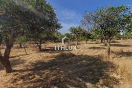 Farm with 32,500 m2 in Elvas-Alentejo- Portugal Farm with 32,500 m2 in Elvas-Alentejo- Portugal